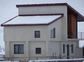------Villa Allegria Kazbegi------，位于Ach'khoti的酒店