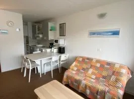 Appartement skis aux pieds 6 pers, parking gratuit - FR-1-602-117