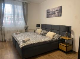 Černá Růže - Apartmán 3，位于比尔森的酒店