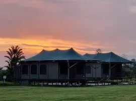 Hillcrest Lodge Tents - Nelanga