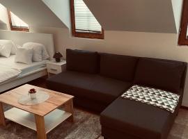 Downtown Apartments DeLuxe，位于杰尔的公寓式酒店