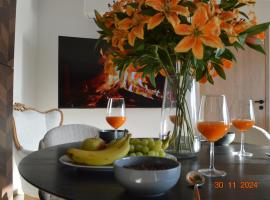 Bella villa - 4 personnes，位于汉西斯的酒店