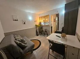 Studio Princesse Galitzine