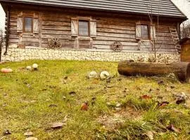 Agroturystyka LipoweWzgórze domek Danusia