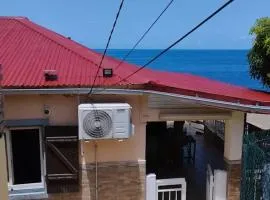 Maison accueillant jusqu'a 7 personnes a Basse Terre