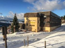 Horský Hotel Kubát，位于贝内茨科的酒店