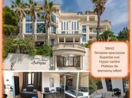 grand studio terrasse de standing, pleine vue village et proche mer