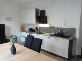 Work and Stay 6 Zimmer 150qm 12 Betten 3 Badezimmer