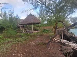 Amerani nyumba