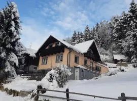 Haus Pinter in Schladming - Dachstein Region