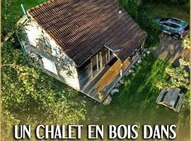 Bouleau - Chalet en bois dans son écrin de verdure