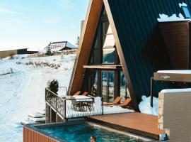 Euphoria - luxury villa，位于弗拉西克的宠物友好酒店