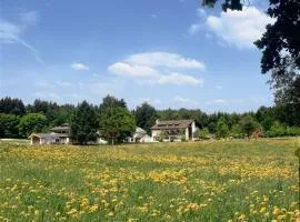 Waldhotel Geländer