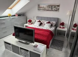 Apartment Zimmer mit Küche und Bad in Danzig