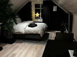 NY og moderne studioleilighet med elbil lading