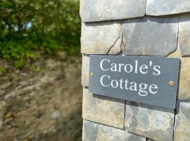 Carole's Cottage - Private Parking, Sea Views, Garden & Close To Harbour & Beach，位于查尔斯敦的酒店