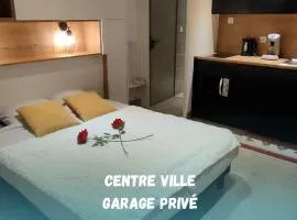 Superbe 2 étoiles en centre ville avec garage privé