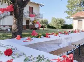 Awesome Home In Cingoli With Wifi