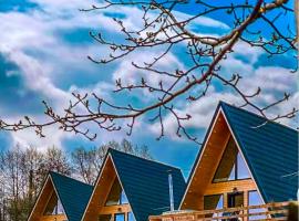 CABANA 365，位于布拉索夫的酒店