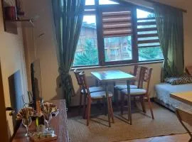 Pirin Golf hotel, Apartment Chalet style