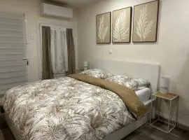 Appartement Disney- Val D'europe