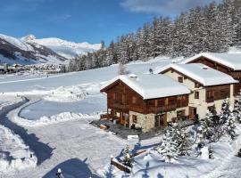 Agriturismo Bosco d'oro Livigno，位于利维尼奥的自助式住宿
