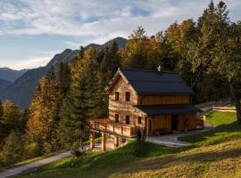 Chalet Jochwand Bad Goisern，位于巴德哥依斯恩的酒店