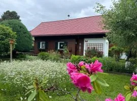 Ferienhaus - Senn-Inn im Zentrum von Schladming