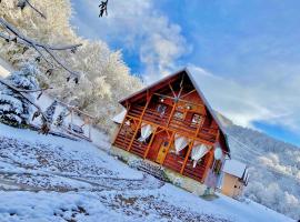 Cabana Mădălin，位于Gurani的酒店