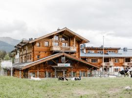 Chalet mit Sauna direkt an der Mittelstation Panoramabahn Kitzbühel，位于米特西尔的酒店
