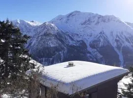 chalet à Orcieres merlette pour 10