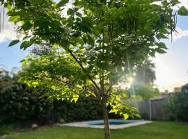 La Catalpa