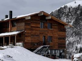 Kari Bakuriani Hotel & Restaurant，位于Didi Mitarbi的酒店