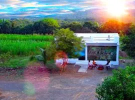 Lion's Safari Farm & Resort