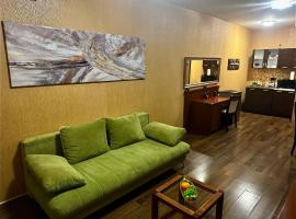 Silver Marina Apartment-Őrzött mélygarázs，位于巴拉顿菲赖德的酒店