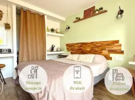 Luna Monkey, Chambre & Terrasse privée, Bourgoin Centre
