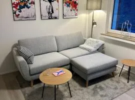 RheinNest , neue und gemütliche Wohnung