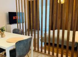 ApartHome Studio Central Self Check-in & Free Parking & WiFi