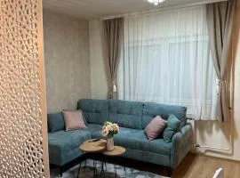 Apartment Story
