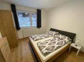 Wunderschöne Ferienwohnung in Kreischbergnähe