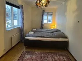 Central Penthouse