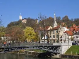 central apartment by the river