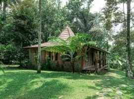 Saridevi Ecolodge