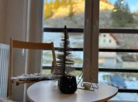 Apartman - Sobe Tiha Luka, Bjelašnica