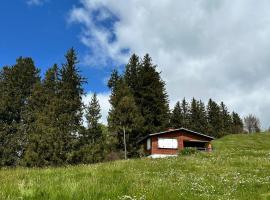 Ferienhaus Alpsteinsicht，位于阿彭策尔的酒店