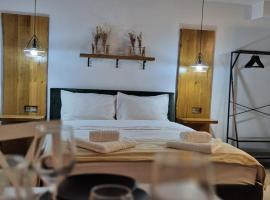 Nova Studio Apartments，位于雷京的酒店