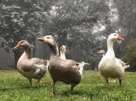 Posada Tanti El Durazno