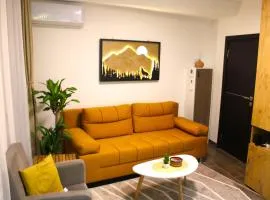 studio apartman Najdanović