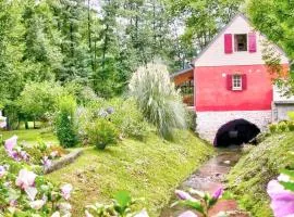 Moulin d’Eysus - Le Moulin