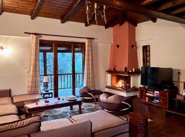 Del Mountain Chalet Arachova，位于阿拉霍瓦的木屋